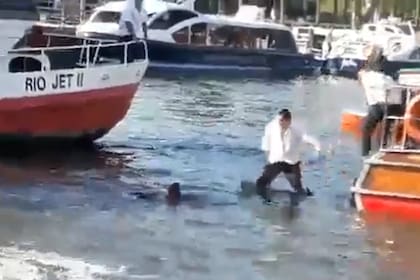 Tigre: una lancha colectivo atropelló a una mujer en kayak, que quedó internada en grave estado