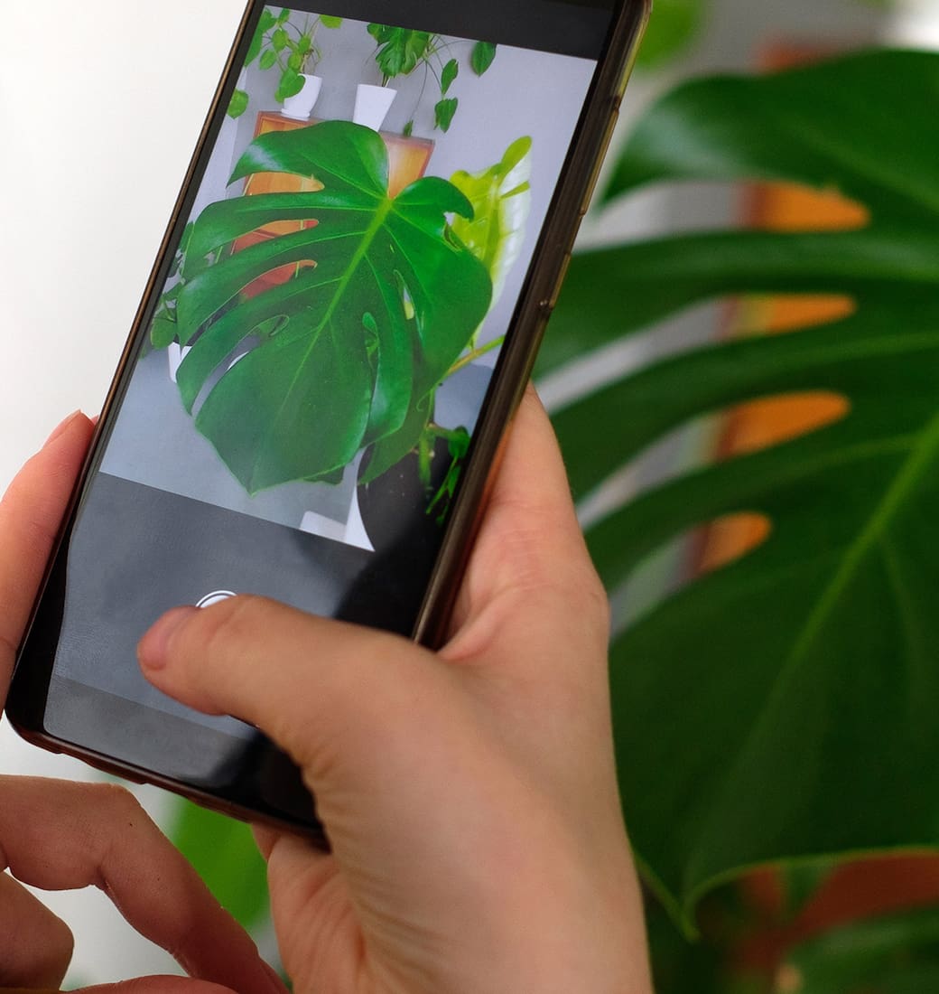 TikTok logró algo que durante años parecía imposible: acercar la jardinería a una generación que creció entre pantallas