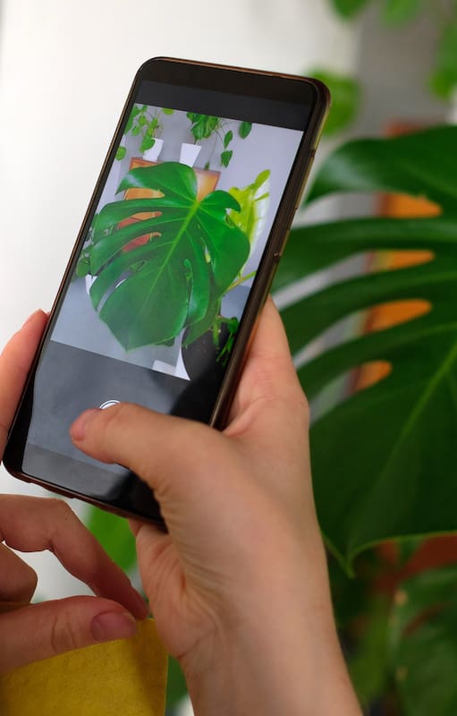TikTok logró algo que durante años parecía imposible: acercar la jardinería a una generación que creció entre pantallas