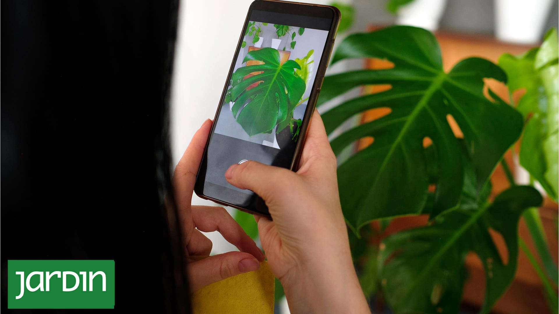 TikTok logró algo que durante años parecía imposible: acercar la jardinería a una generación que creció entre pantallas