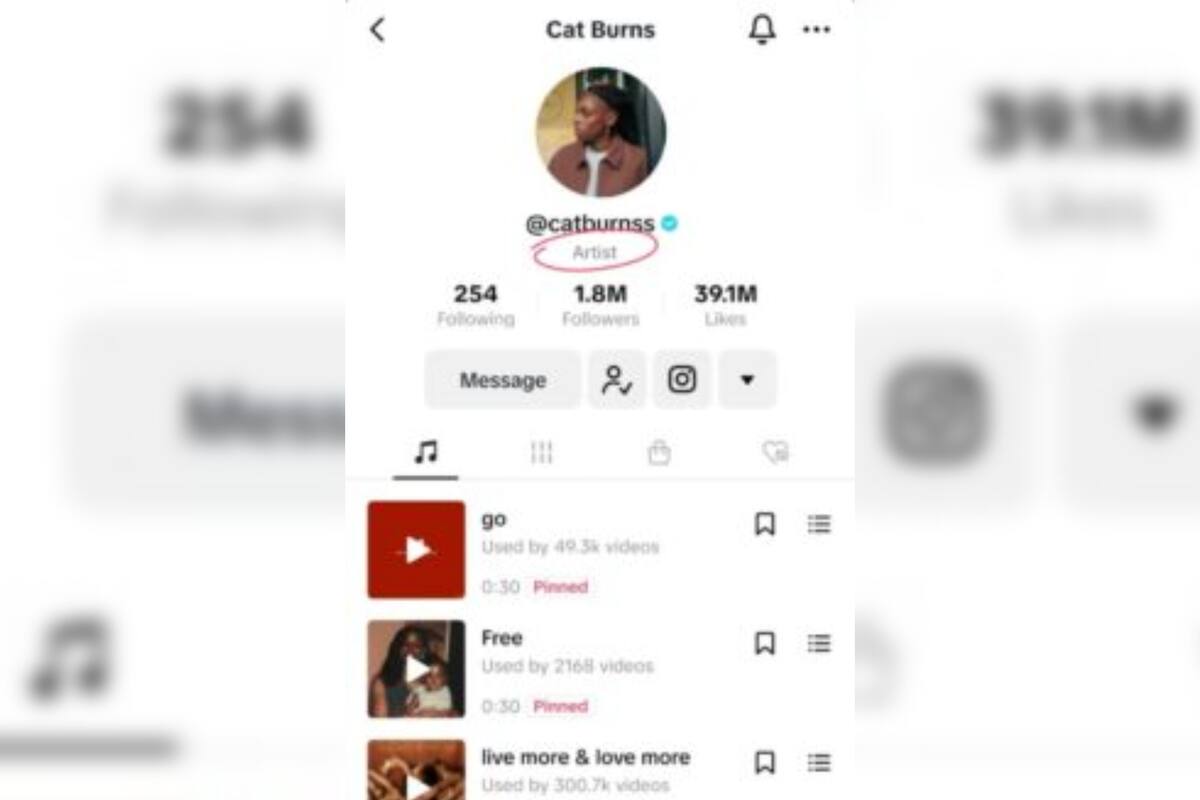 TikTok tiene una actualización para artistas y músicos (Captura TikTok)