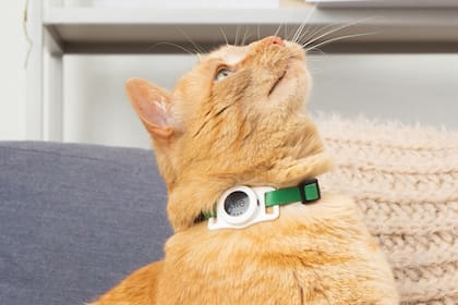 Tile for Cats es un rastreador Bluetooth para gatos; se engancha al collar, y tiene una autonomía de tres años