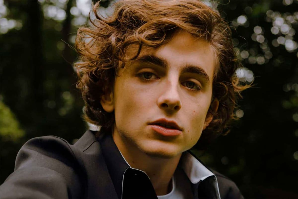Timothée Chalamet