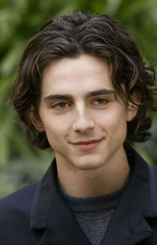 Timothée Chalamet protagoniza el nuevo film de Wes Anderson, que se presentó en Cannes y será también una de las figuras del otro gran festival, Venecia, con Duna