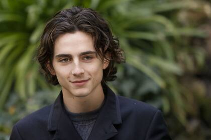 Timothée Chalamet llega a Netflix para protagonizar un largometraje inspirado en obras de Shakespeare