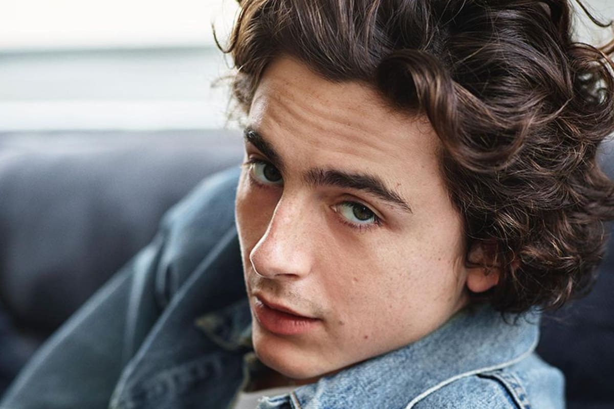 Timothée Chalamet se quedó con el primer puesto en el ranking de los hombres más bellos (Foto Instagram @tchalamet)