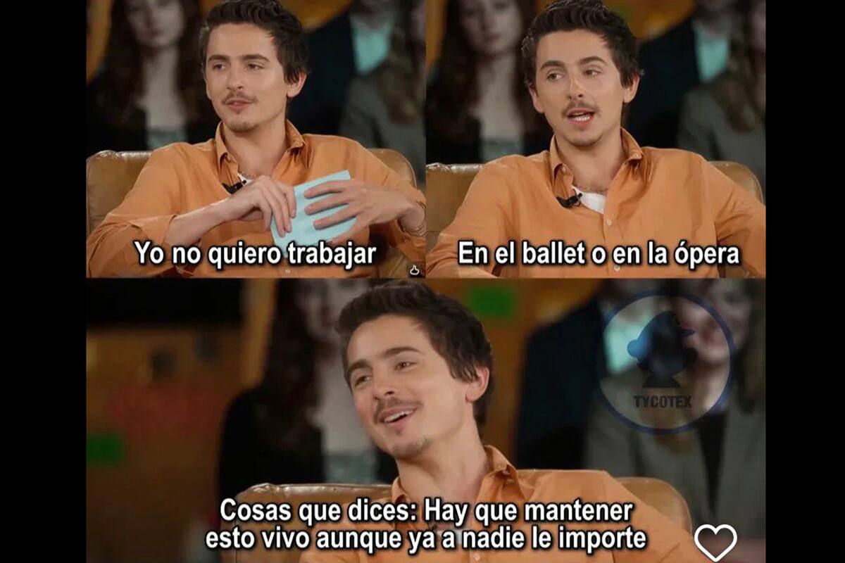 Timothée Chalamet y la secuencia de sus declaraciones con Matthew McConaughey para CNN y la revista Variety