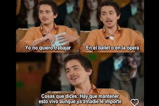 ¡Nada me desanima, Timothée!