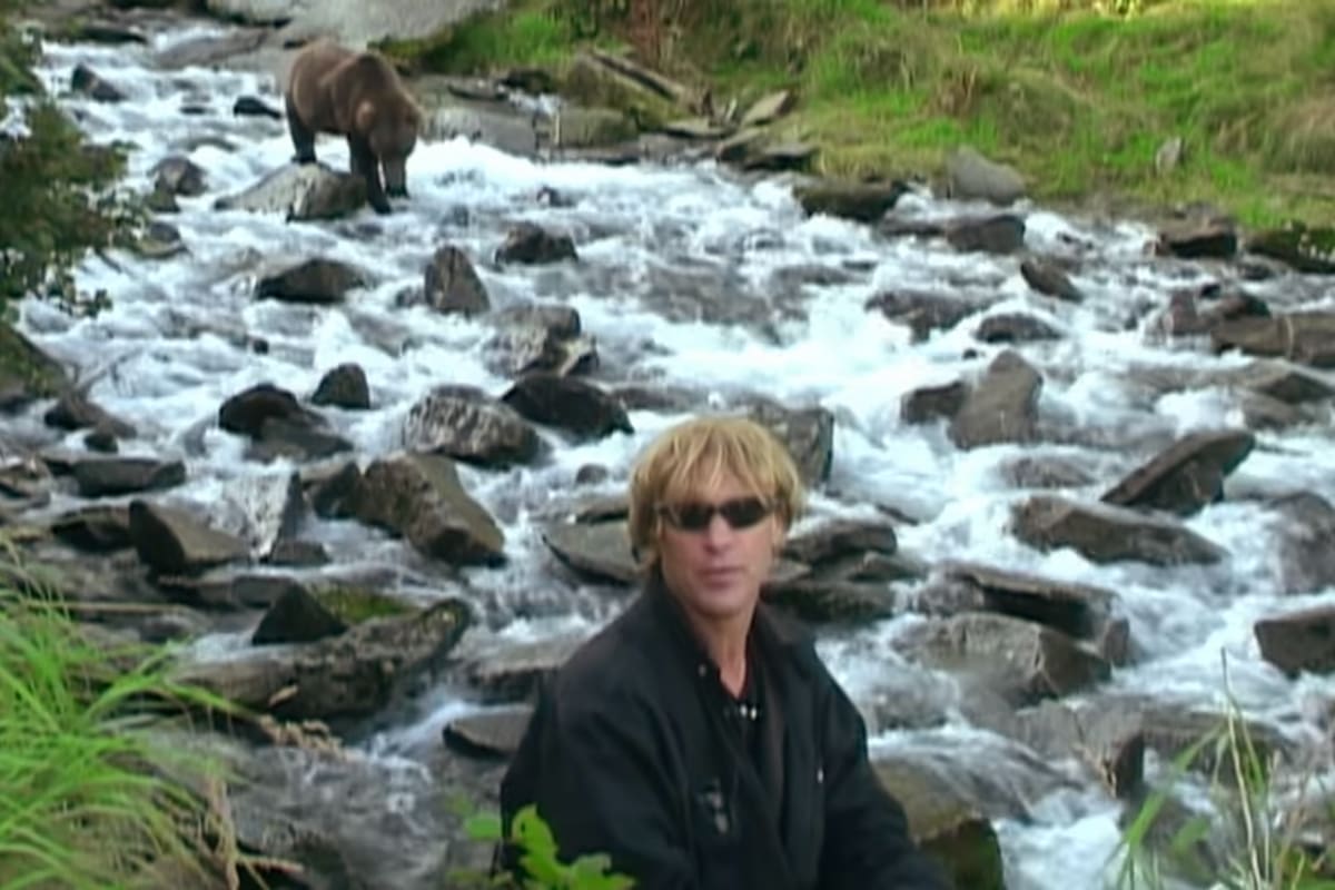 Timothy le dedicaba grandes declaraciones de amor a los osos