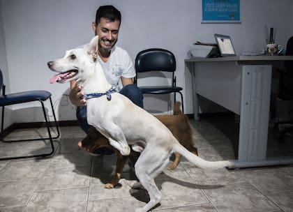 Tintín está siendo cuidado en el canil y espera para ser adoptado.