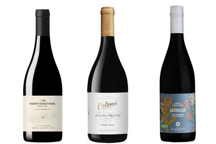 Tintos: dos salteños y un mendocino