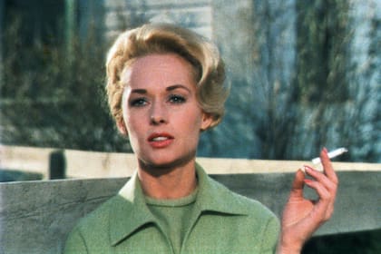 Tippi, en Los pájaros