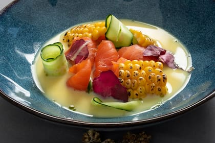 Tiradito de trucha con salsa inglesa de choclo. Namida Restó