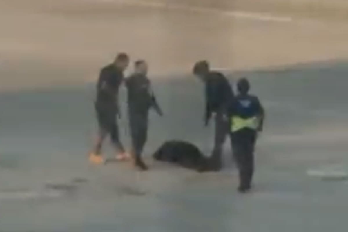 Tiroteo en el aeropuerto de Santiago de Chile