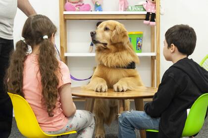 Titán tiene 5 años y un entrenamiento especial