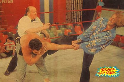 Titanes en el ring fue un programa televisivo emblemático de la Argentina. El show protagonizado y dirigido por Martín Karadagián centraba su trama en la lucha libre. Fue emitido -principalmente- por Canal 9, con interrupciones, entre 1962 y 2001. Tradicionalmente, se trasmitía los domingos por la noche
