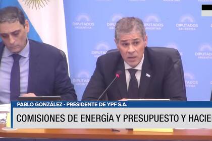 Titular de YPF defendió el régimen de promoción del gas natural licuado