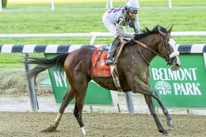 Tiz the Law es el gran favorito en el Belmont Stakes, en el atípico comienzo de la Triple Corona norteamericana