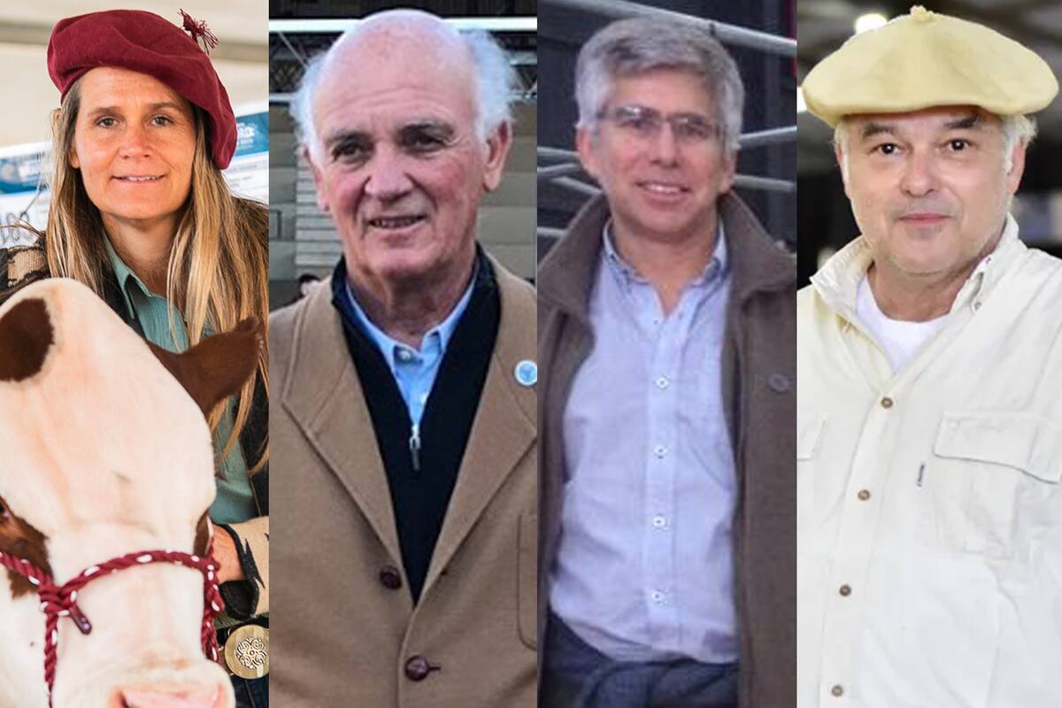 Tiziana Prada (Braford), Alfonso Bustillo (Angus), Alejandro de la Tour (Hereford) y Víctor Navajas (Brangus)