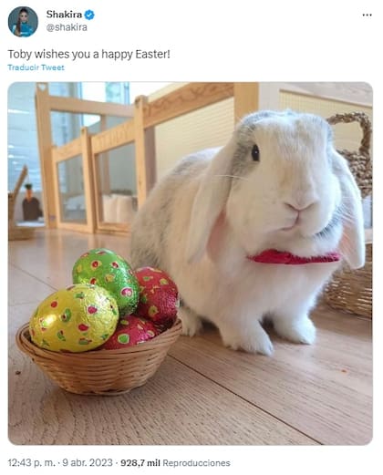 Toby, el conejo mascota de Shakira junto a una canasta con huevos de Pascua