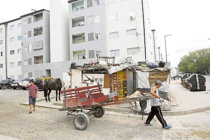 Todavía se usan caballos en la vía pública