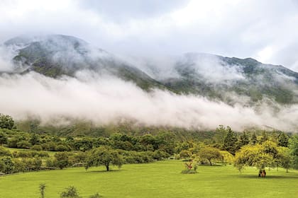 La inmensidad del verde, para mirar y nunca cansarse.