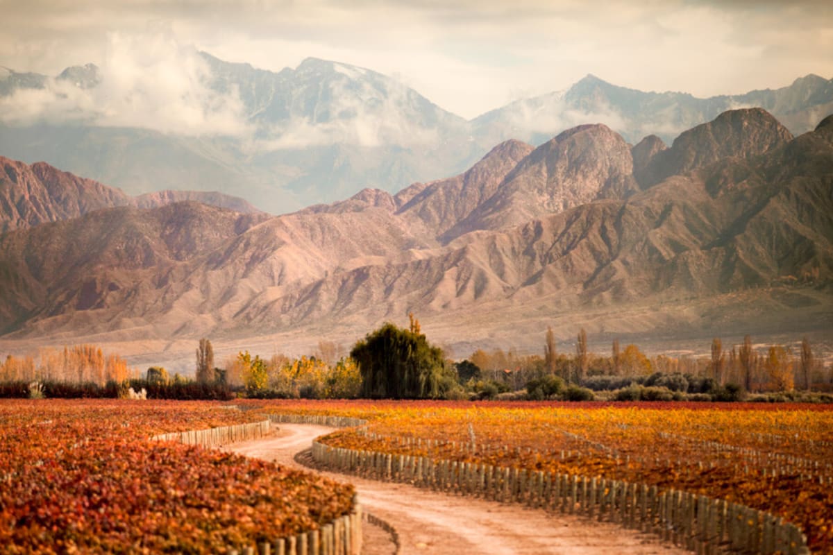 "Todo el mundo debería vivir en Mendoza", dice Ed.