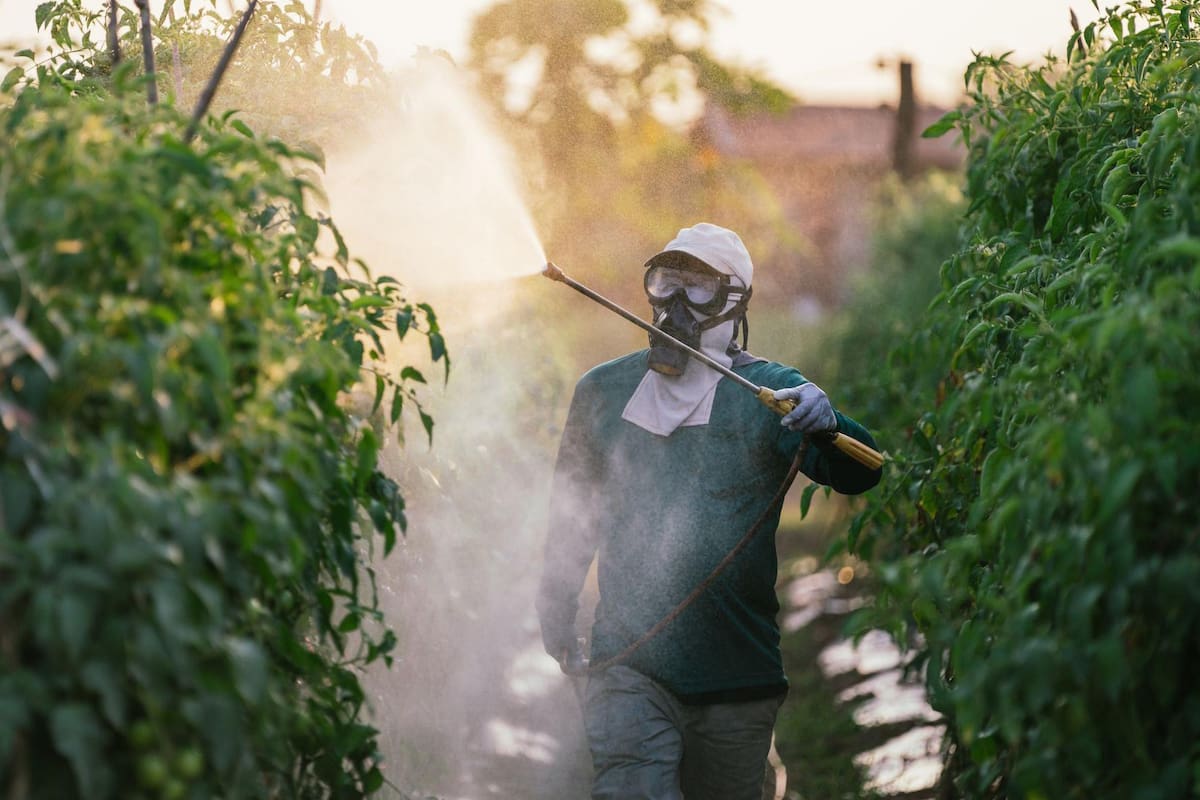 Todo el mundo es consciente de que la comida en mayor o menor medida puede estar contaminada por pesticidas (Getty Images)