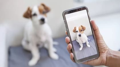 Todo el mundo tiene fotos en sus celulares que tienen valor