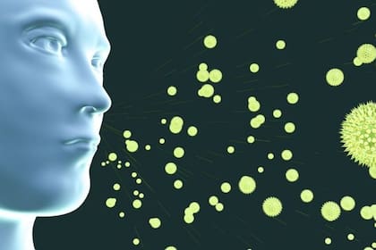 Todo lo que podamos hacer para mantener la salud inmunitaria ayuda en la lucha contra la covid-19