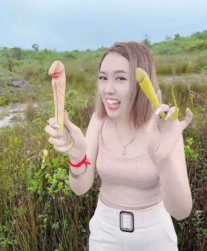 Todo por una foto: arrancaron plantas en peligro de extinción y recibieron todo tipo de críticas (Foto: Facebook @MinistryOfEnvironmentCambodia)