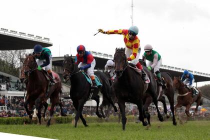 Todo un amiguito, el campeón 2014 que sigue vigente