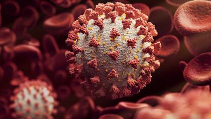 Todos los coronavirus tienen la proteína espiga