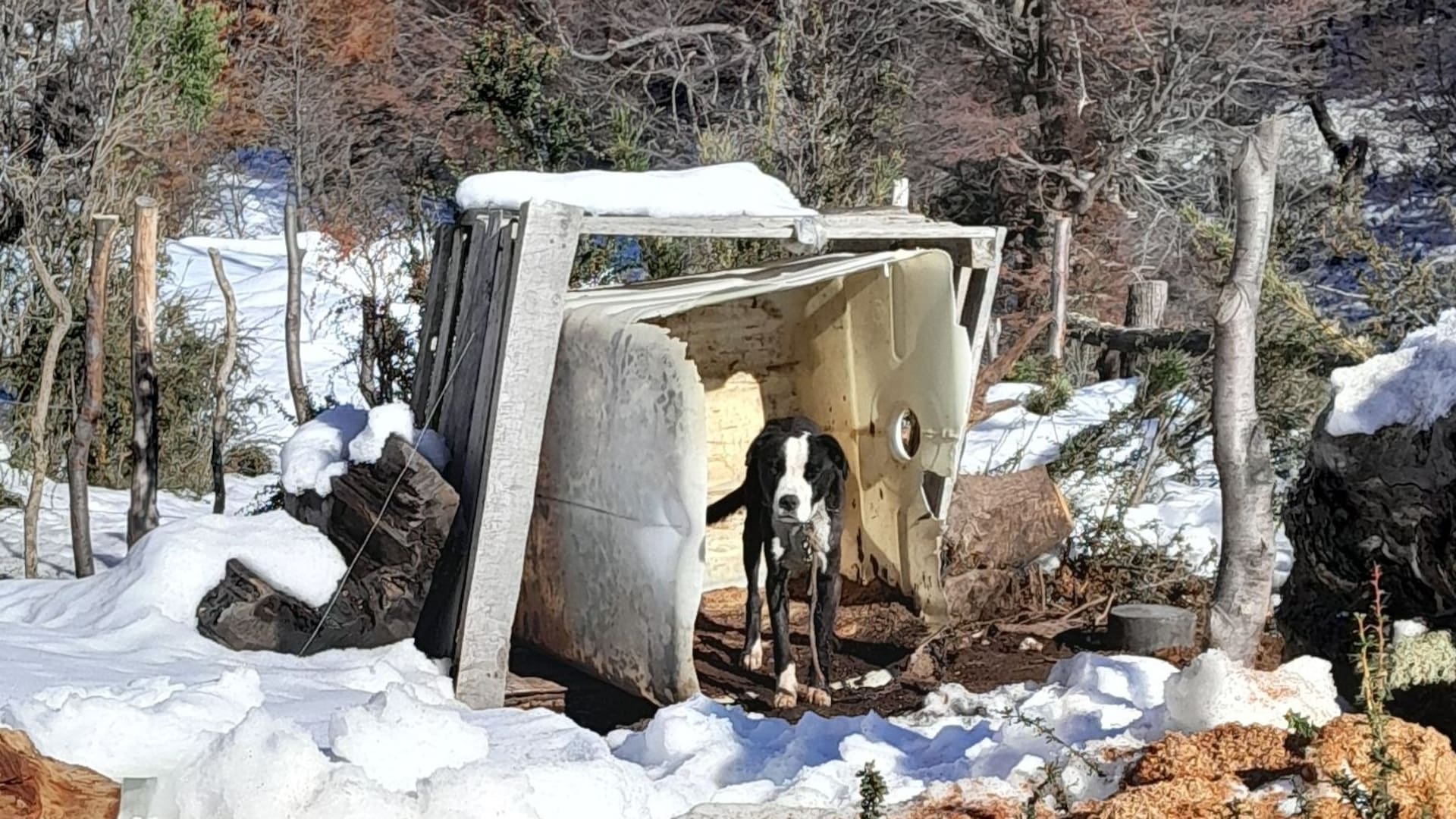 Todos los días lov eía solo, y atado, en una montaña, usualmente nevada