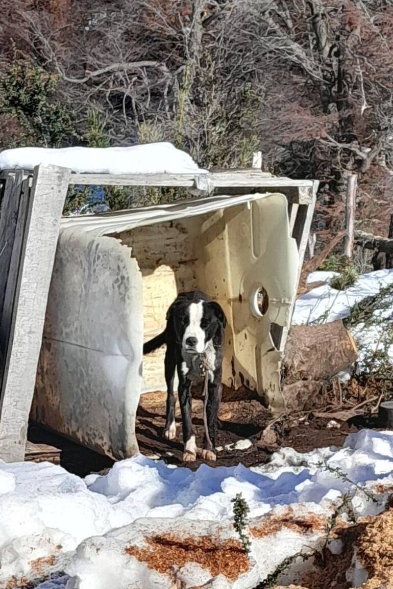 Todos los días lov eía solo, y atado, en una montaña, usualmente nevada