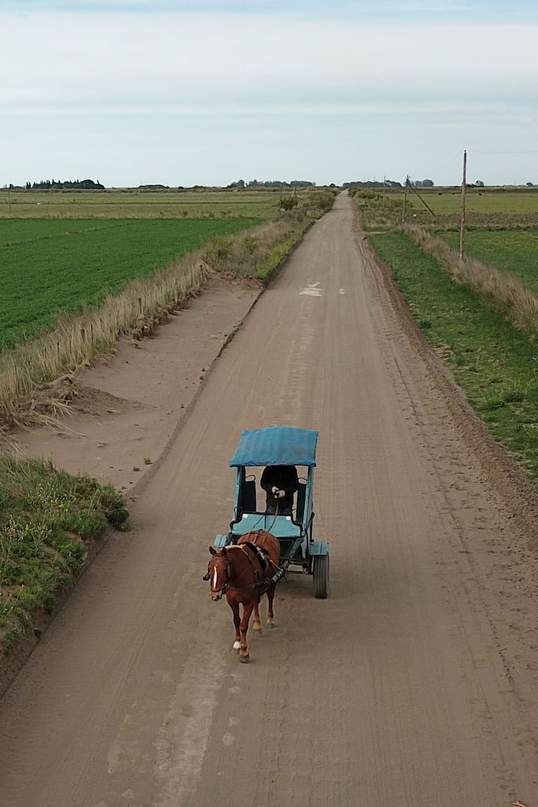 Todos los días recorre los caminos con su carro