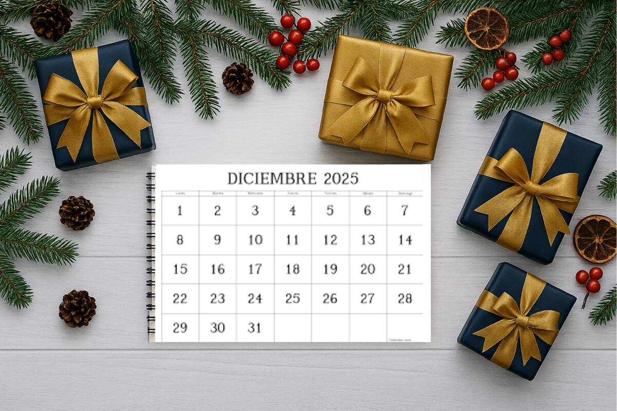 Todos los feriados por Navidad