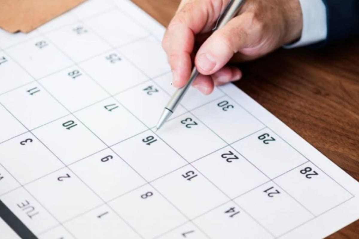 Todos los feriados que quedan en noviembre y diciembre 2024