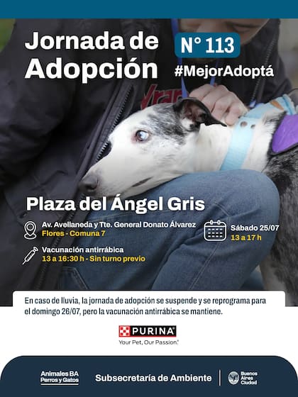 Todos los meses se actualiza la agenda de adopción, que puede encontrarse en la página oficial del Gobierno de la Ciudad de Buenos Aires