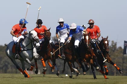 Todos por la bocha: Guillermo Caset, Tomás Panelo, Camilo Castagnola, Pablo Pieres y Facundo Sola.