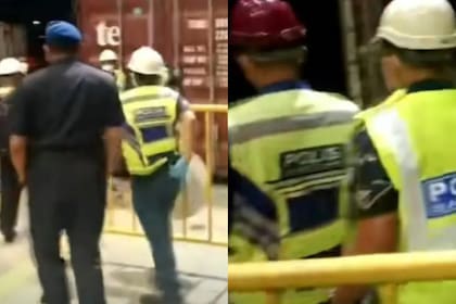 Todos quedaron sorprendidos cuando lo vieron