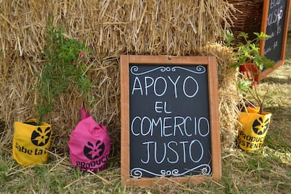 "Todos somos responsables de lo que consumimos y de la basura que generamos", advierten