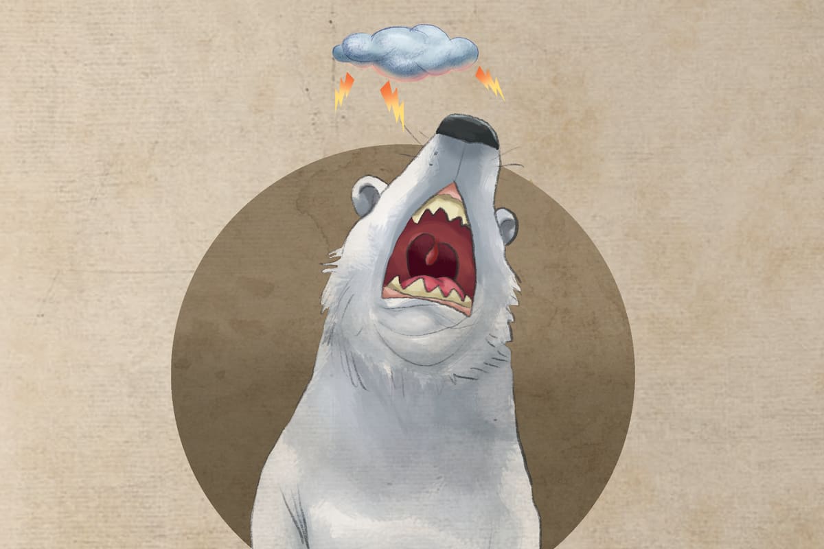 Todos tenemos días malos; el oso polar, también