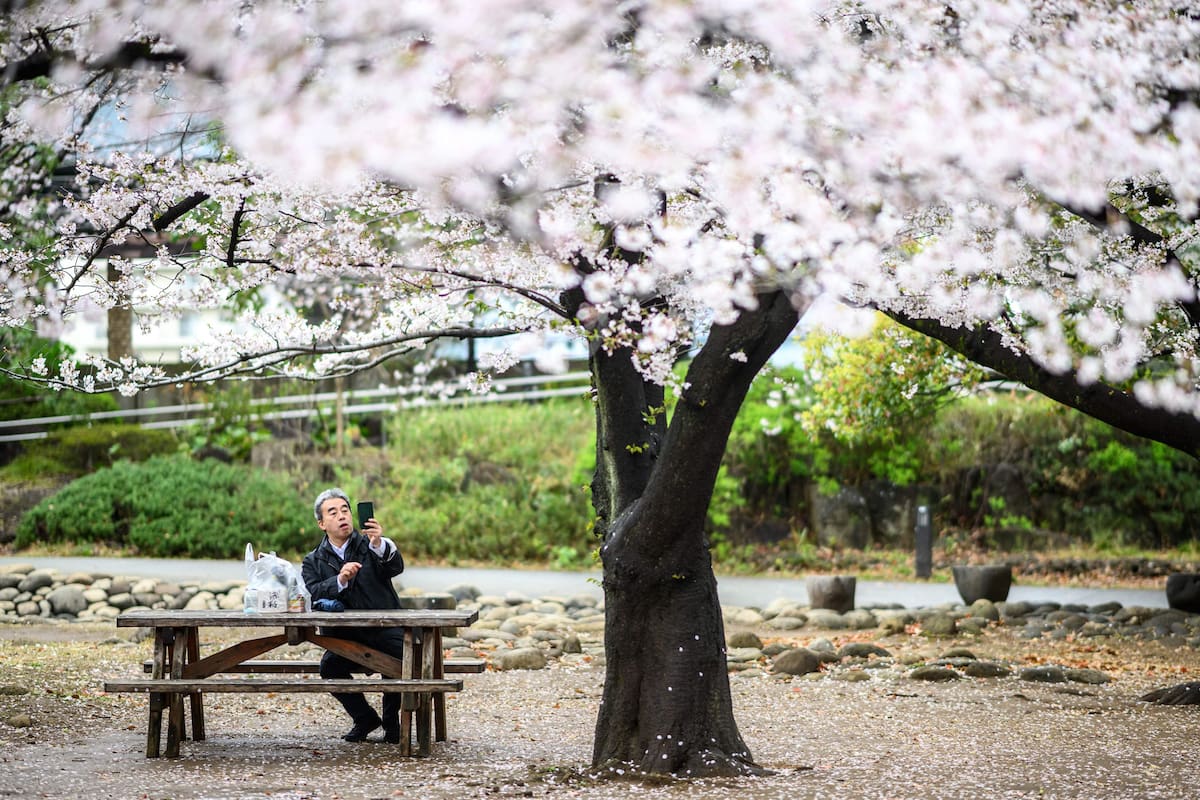 Tokio, Japón. Edición fotográfica de Jesica Rizzo