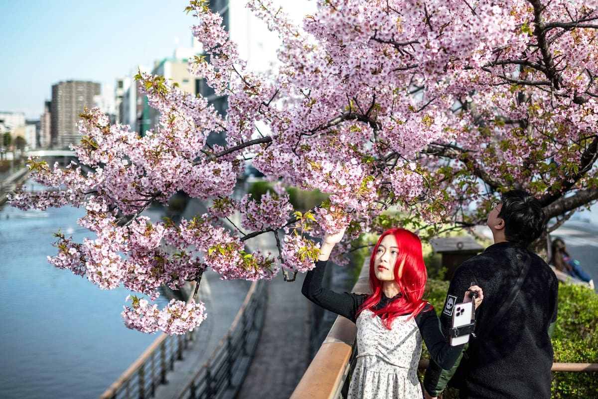 Tokio, Japón. Edición fotográfica de Jesica Rizzo