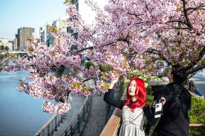 Tokio, Japón. Edición fotográfica de Jesica Rizzo
