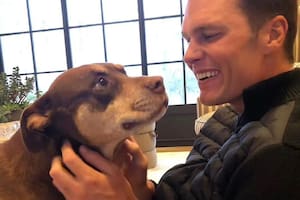 Tom Brady revela que clonó a su perra Lua (Instagram @tombrady)