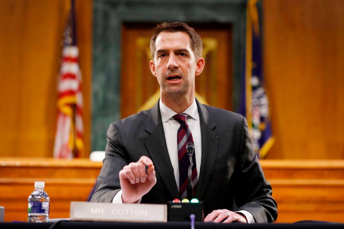 Tom Cotton, senador por Arkansas