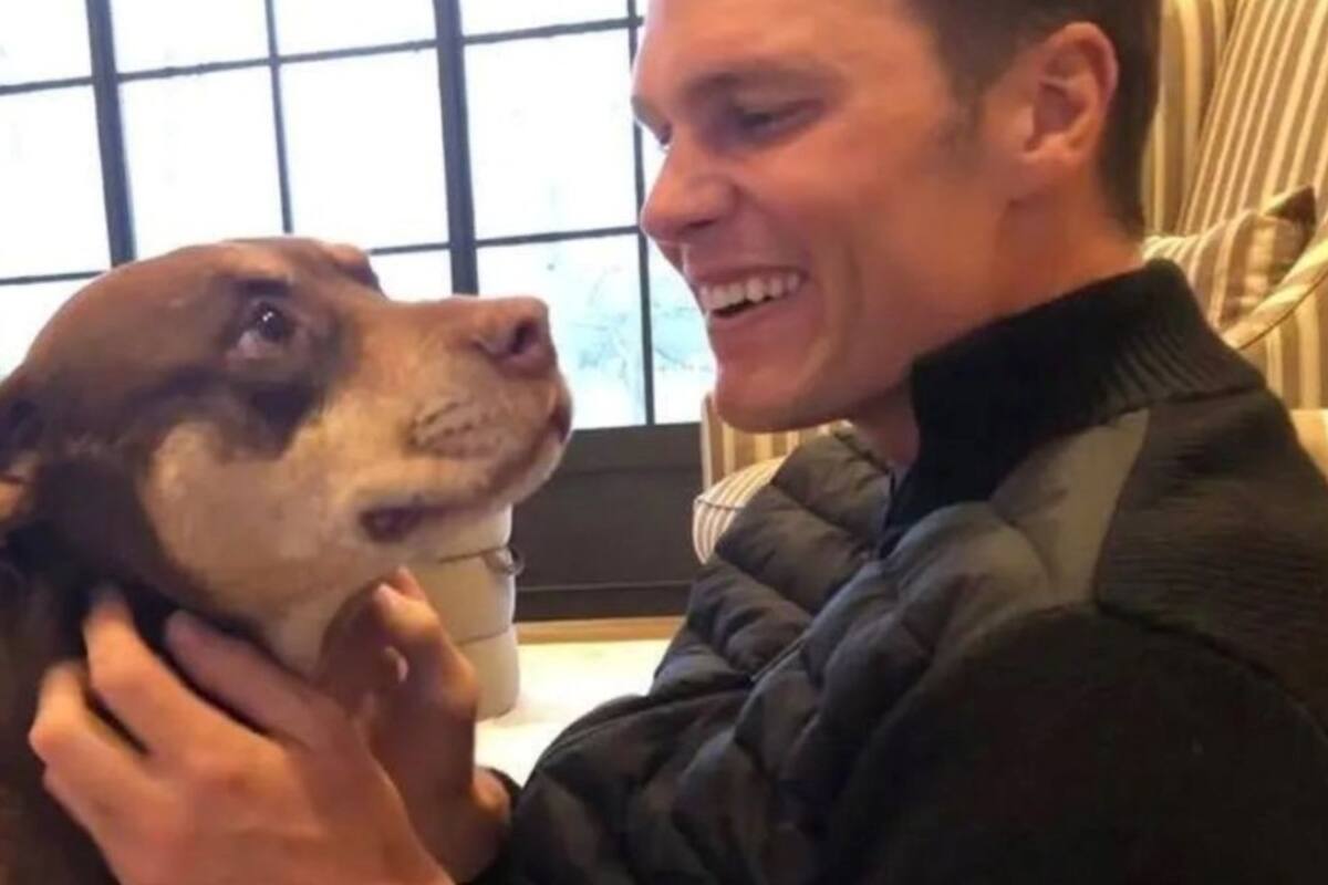 Tom y Lua, la perra que clonó