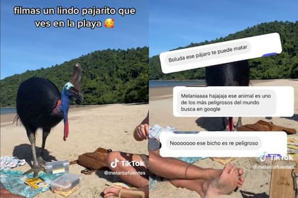 Tomaba sol en la playa, filmó una extraña ave y los usuarios le hicieron una advertencia que lo dejó atónito